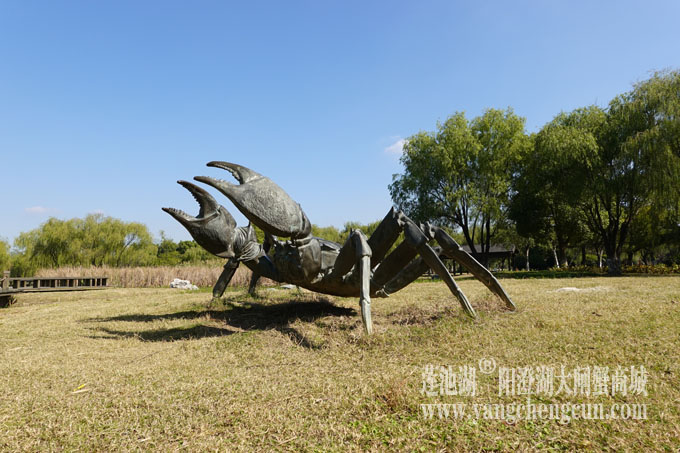 莲池湖大闸蟹