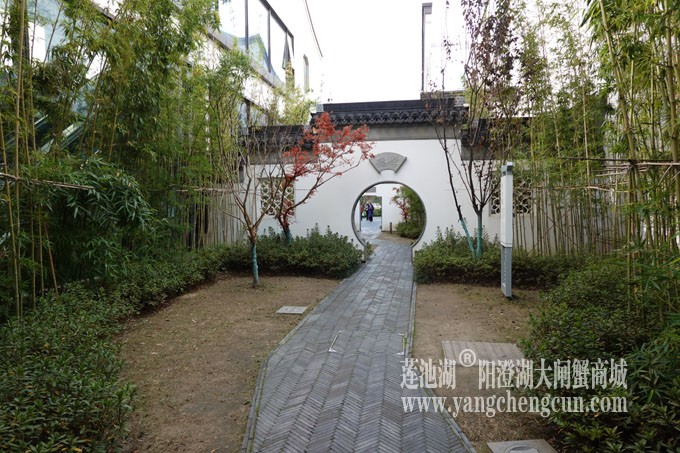 阳澄湖服务区