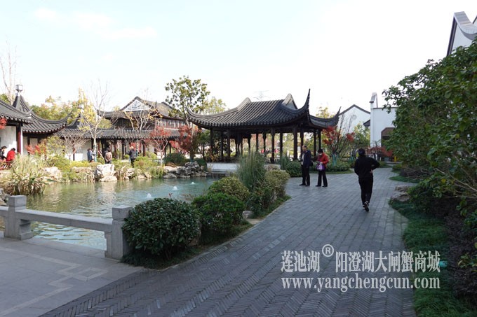 阳澄湖服务区
