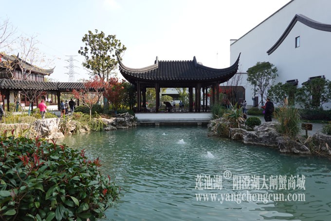 阳澄湖服务区