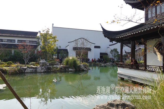 阳澄湖服务区