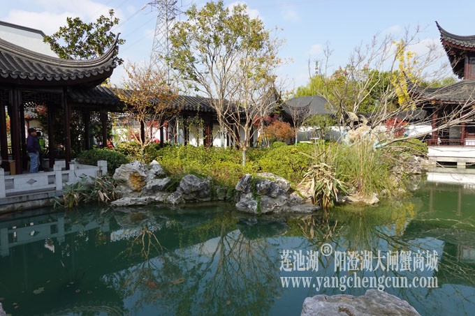 阳澄湖服务区