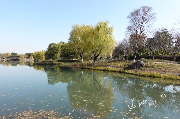 仙樱湖