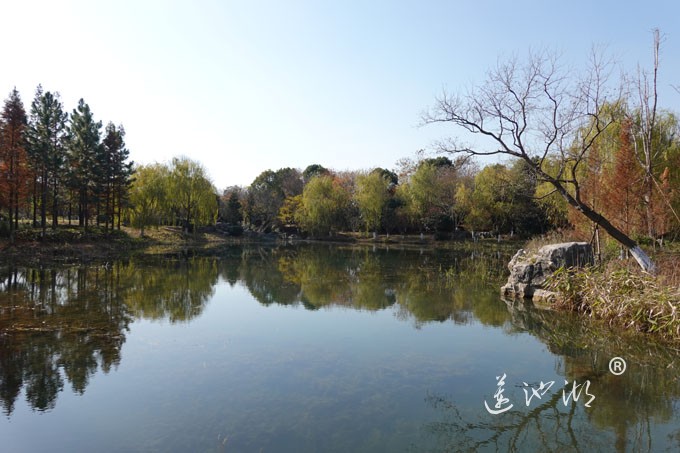 仙樱湖