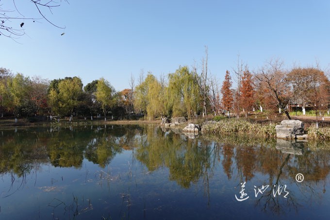 仙樱湖