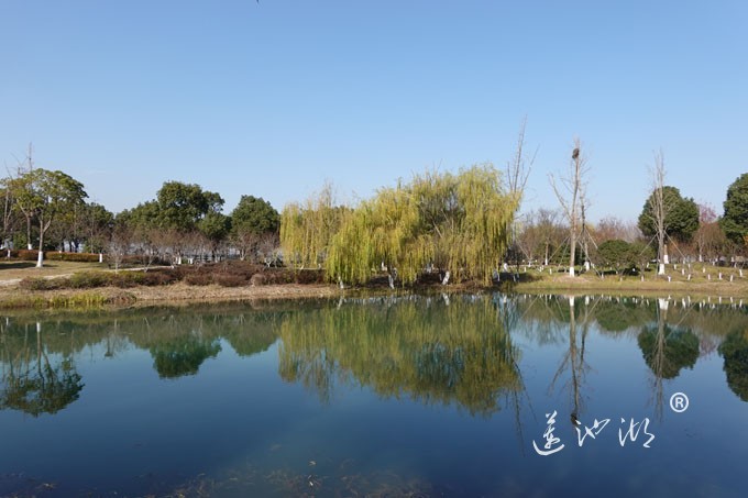 仙樱湖