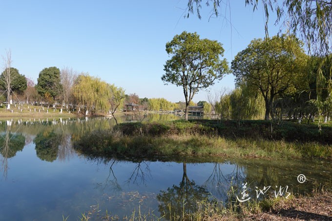 仙樱湖
