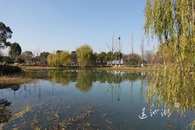 仙樱湖