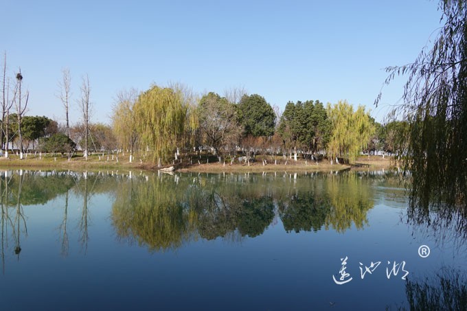 仙樱湖