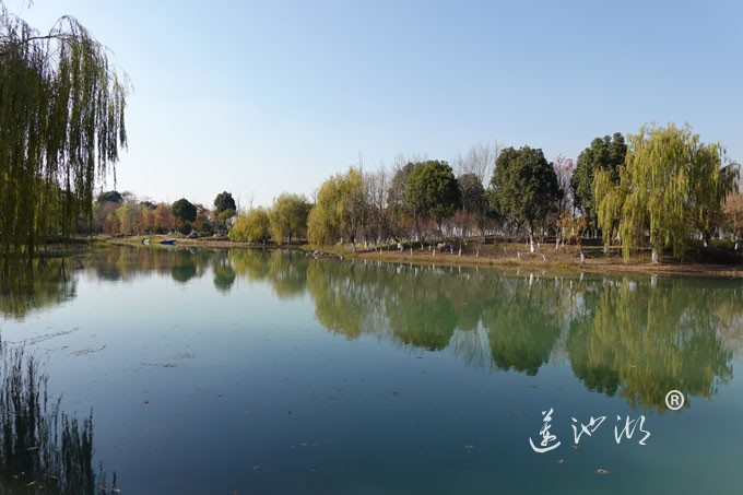 仙樱湖