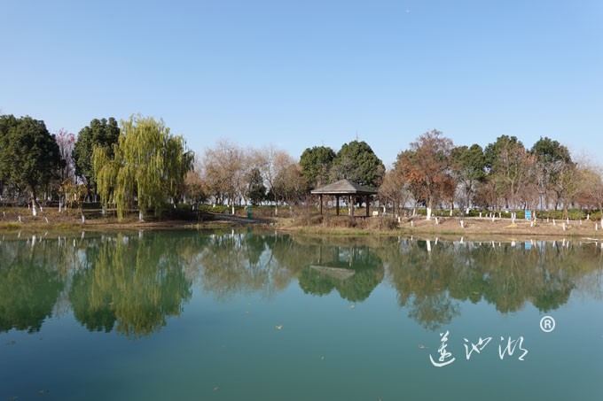 仙樱湖