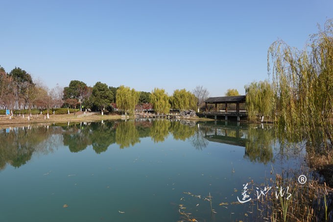 仙樱湖