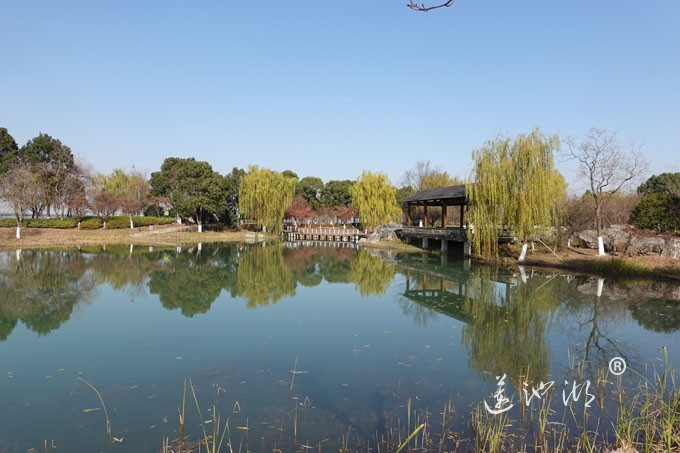 仙樱湖