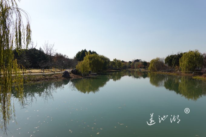 仙樱湖