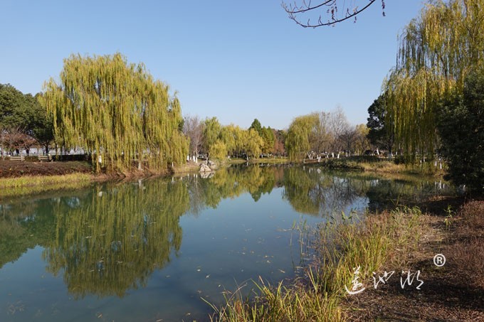 仙樱湖