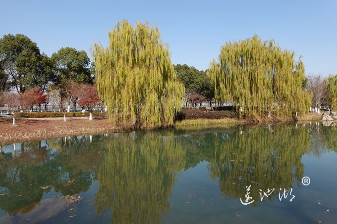 仙樱湖