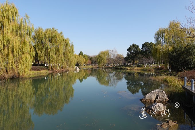 仙樱湖