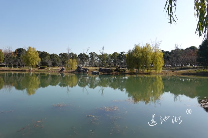 仙樱湖