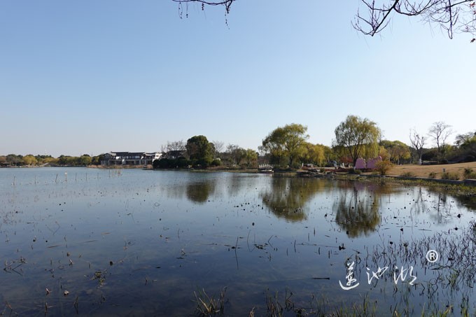 莲池湖