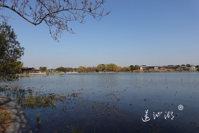 莲池湖