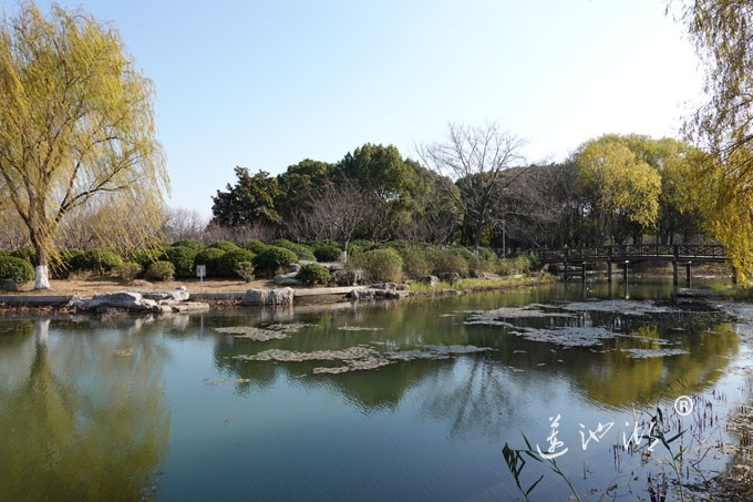 莲池湖