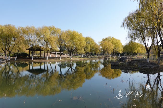 莲池湖