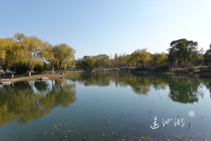 莲池湖