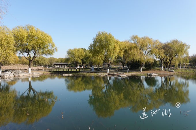 莲池湖