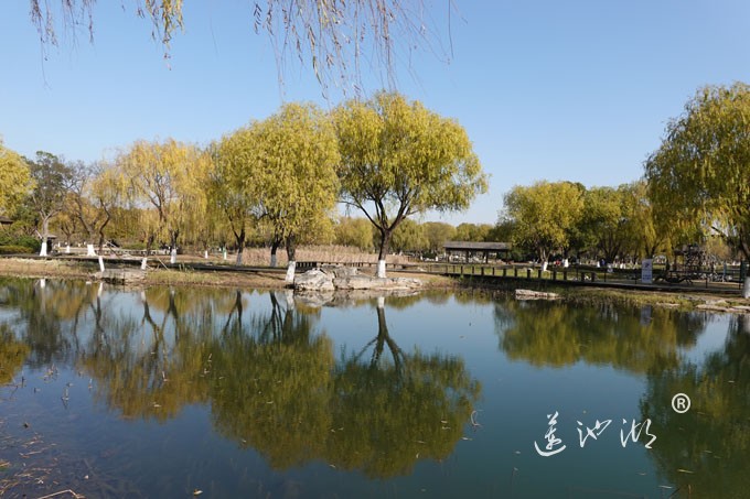 莲池湖