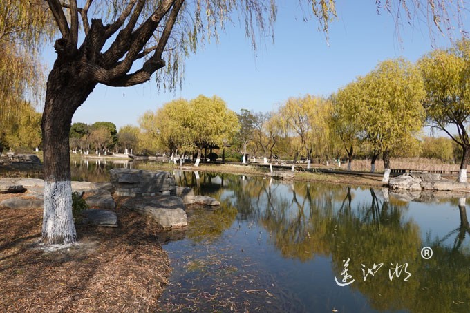 莲池湖