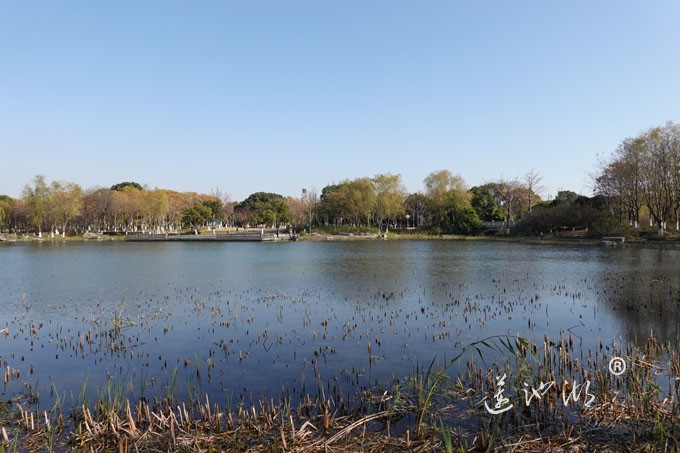 莲池湖