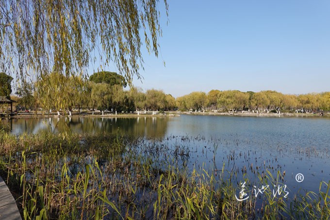 莲池湖