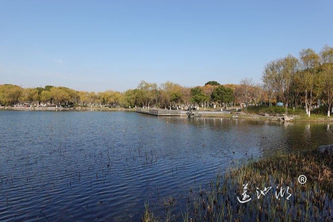 莲池湖