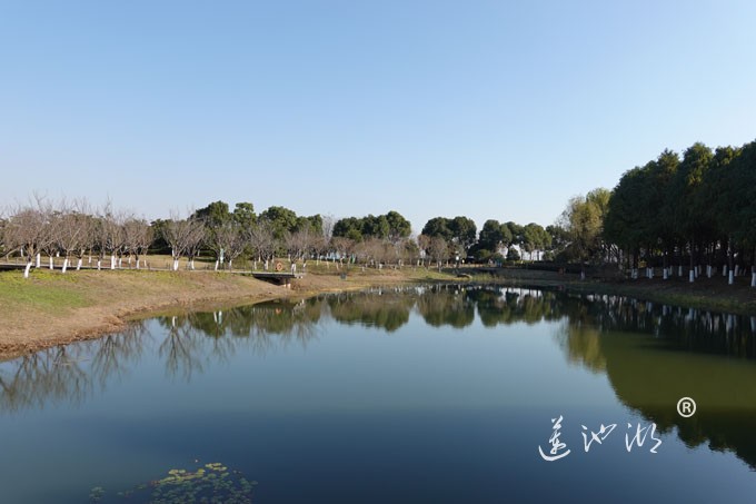 云杉湖