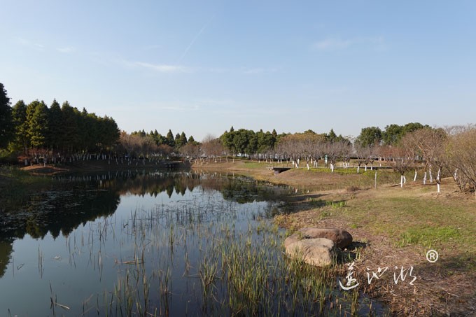 云杉湖