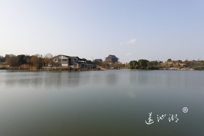 朝阳映在莲池湖上