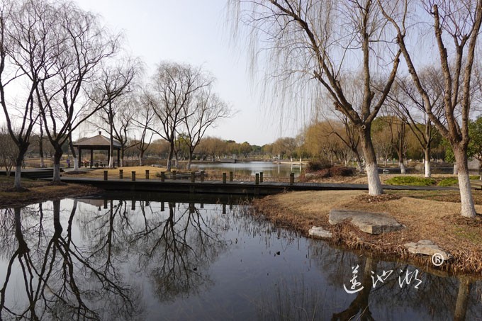 朝阳映在莲池湖上