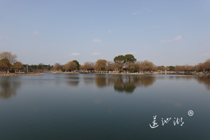 朝阳映在莲池湖上