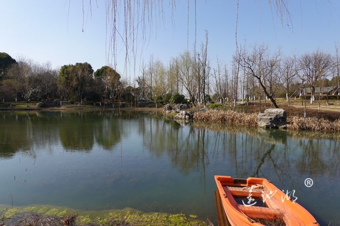 春风又绿江南岸