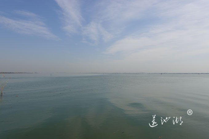 阳澄湖