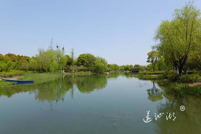 阳澄湖畔四月天-仙樱湖