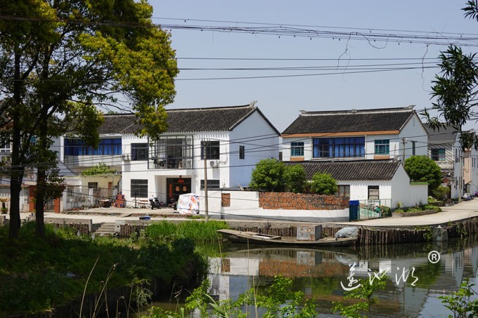 阳澄湖畔四月天-清水村
