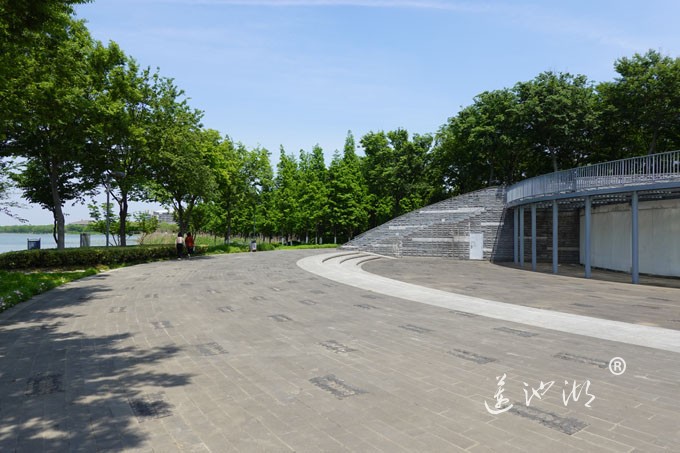 阳澄湖畔四月天-正仪生态湿地