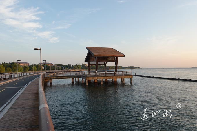 阳澄湖半岛自行车道的风景