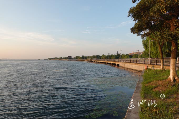 阳澄湖半岛自行车道的风景