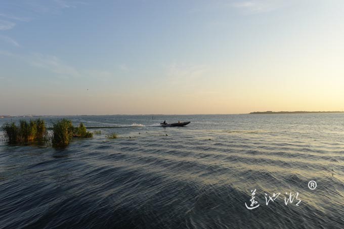 阳澄湖半岛自行车道的风景