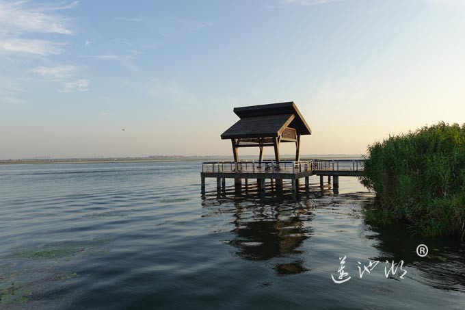 阳澄湖半岛自行车道的风景