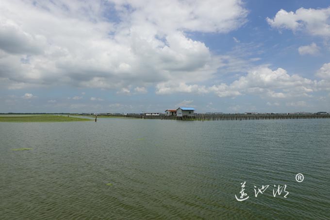 苏州阳澄湖大闸蟹养殖基地