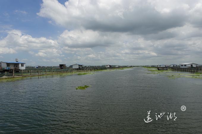 苏州阳澄湖大闸蟹养殖基地