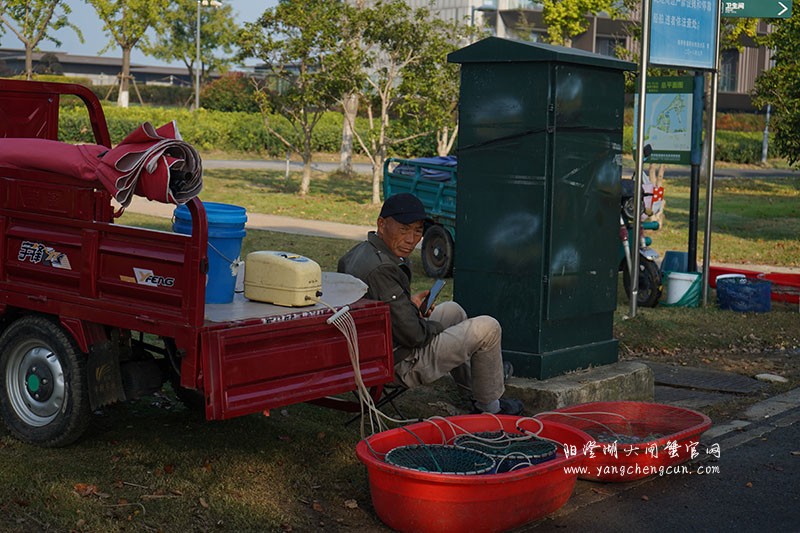 等待生意的蟹农